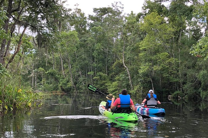 Amelia Island Adventures Eco Easy Kayak Tour